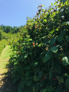 6321AF67-3DDF-4693-A272-E27F8BF56305