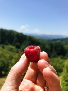 8F56E32E-1910-4BA6-9FD9-9DD84DBE6B76