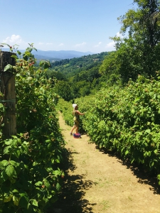 CD978574-B90B-44C3-B435-5454C5FCB947