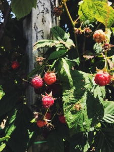 FF0C1E89-FBDD-4501-AAA2-4BF3FD8FBFA7